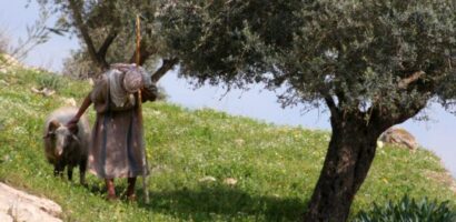 A Batalha Dos Pastores De Israel (juan 10:1-19)