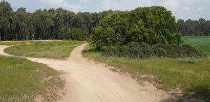 On The Road To Emmaus
