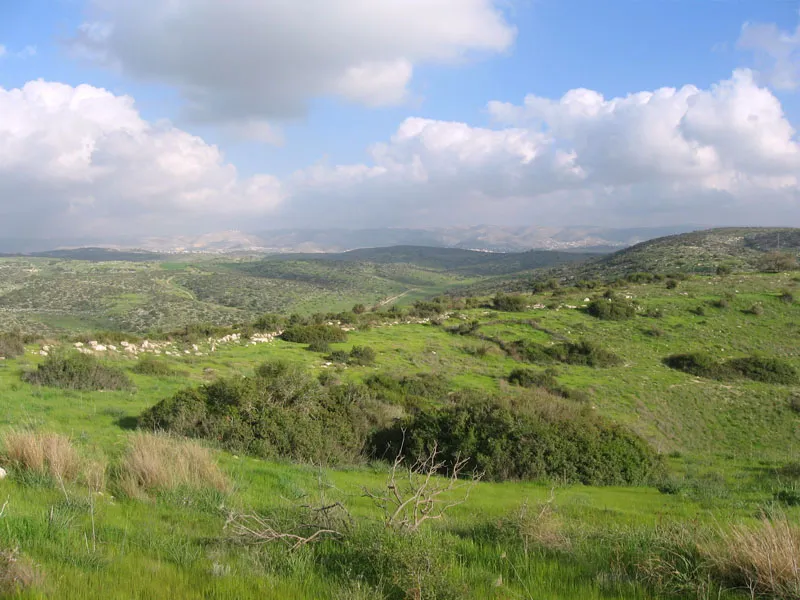 Rolling green hills and open countryside under a cloudy sky, with patches of shrubs and distant mountains visible on the horizon.