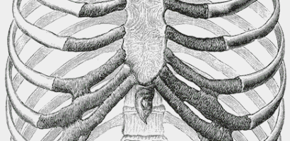 Why Was Eve Created From Adam’s Rib?