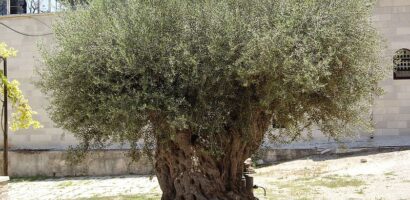 How Did Places In The Bible Get Their Names?