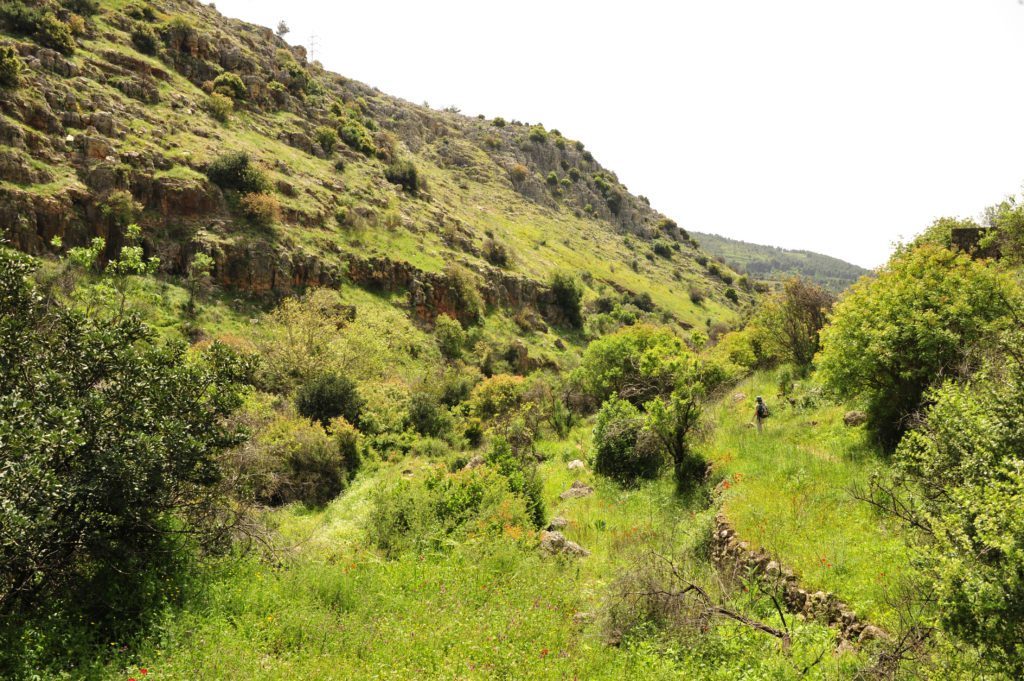 shutterstock_86974136