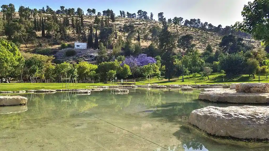 Pond and hillside at Maayan Harod National Park