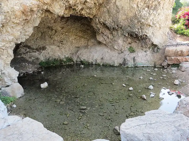 Spring pool in a rocky cave at Maayan Harod National Park