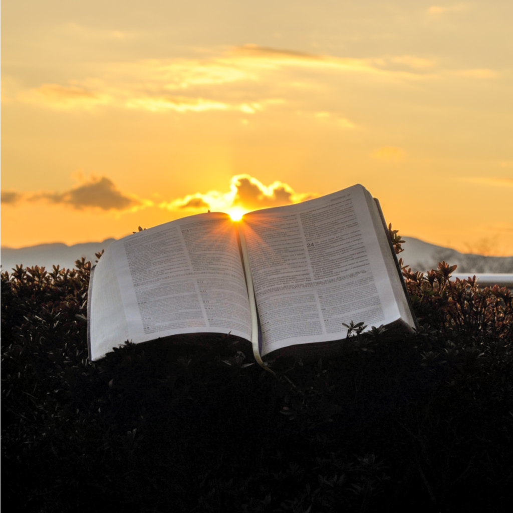 Descifrando El Nuevo Testamento: Cosa Nuevas Y Viejas (4)