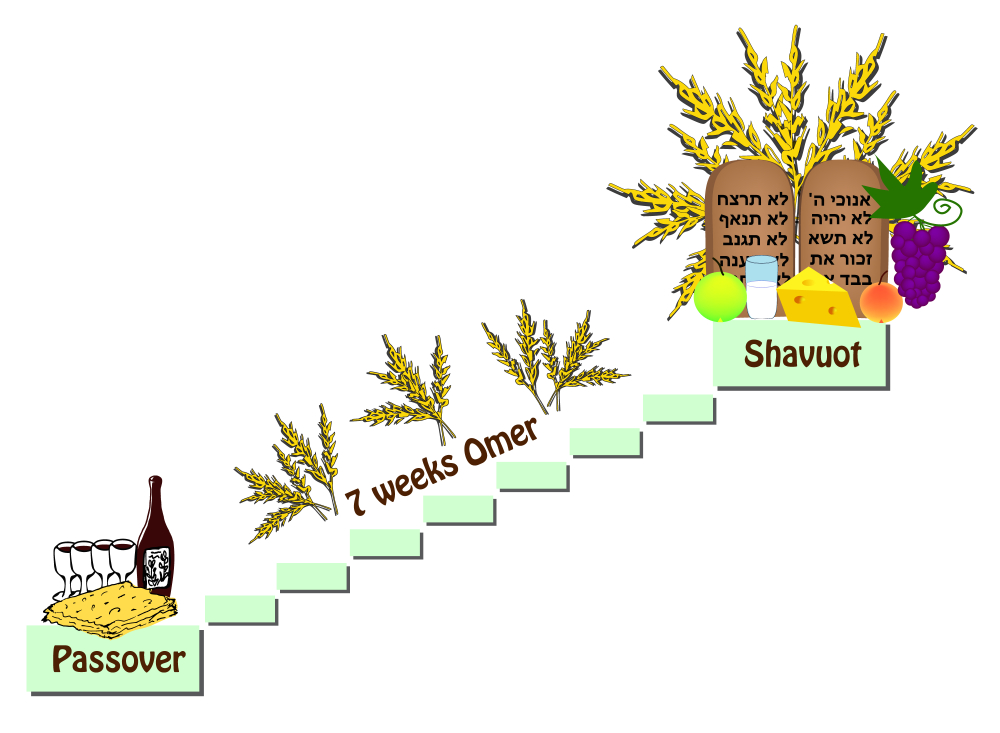 Por Que Contamos O Omer: Do Pesaj Ao Shavuot?