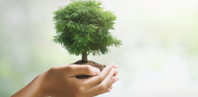 Christmas Reflections On Genesis