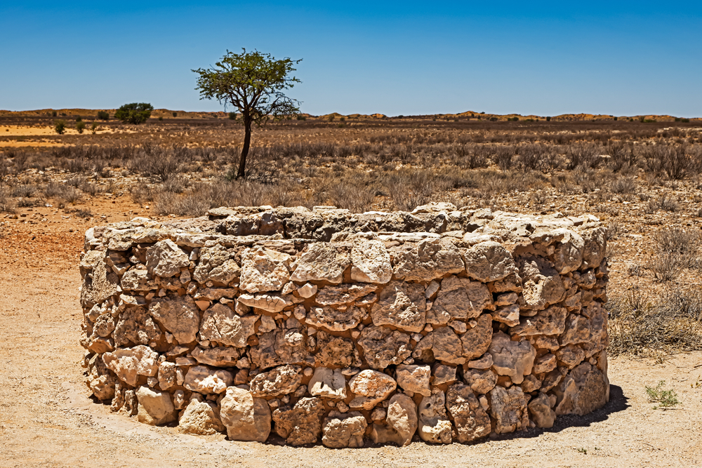 Joseph’s Saga (3): God’s Plan Unfolds