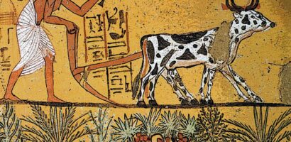 The Significance Of Joseph’s Name